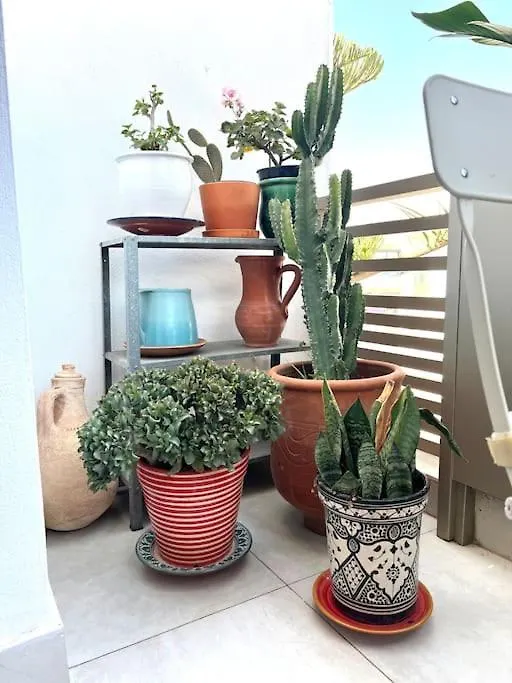 Studio Nature Au Coeur De Casa ! Casablanca